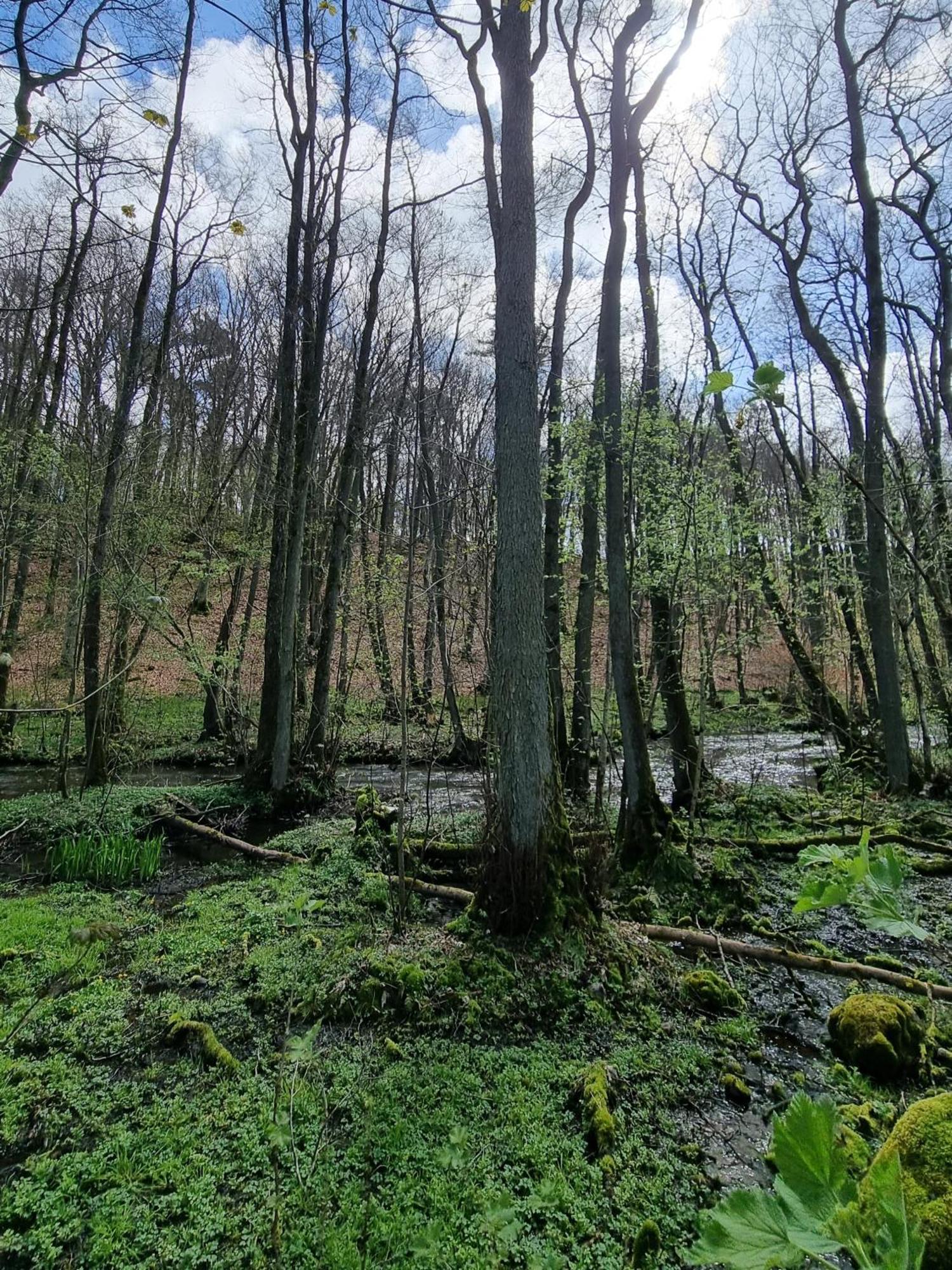Domki Nad Morzem Lublewo21 Obok Bialogory Lublewo Leborskie Eksteriør billede